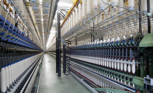 今年工業(yè)大麻真的火了,分享一份漢麻融資商業(yè)計(jì)劃書(shū)范文