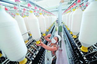 進(jìn)口棉紗價格比國產(chǎn)棉花便宜 內(nèi)外有別 傷及紡織業(yè)